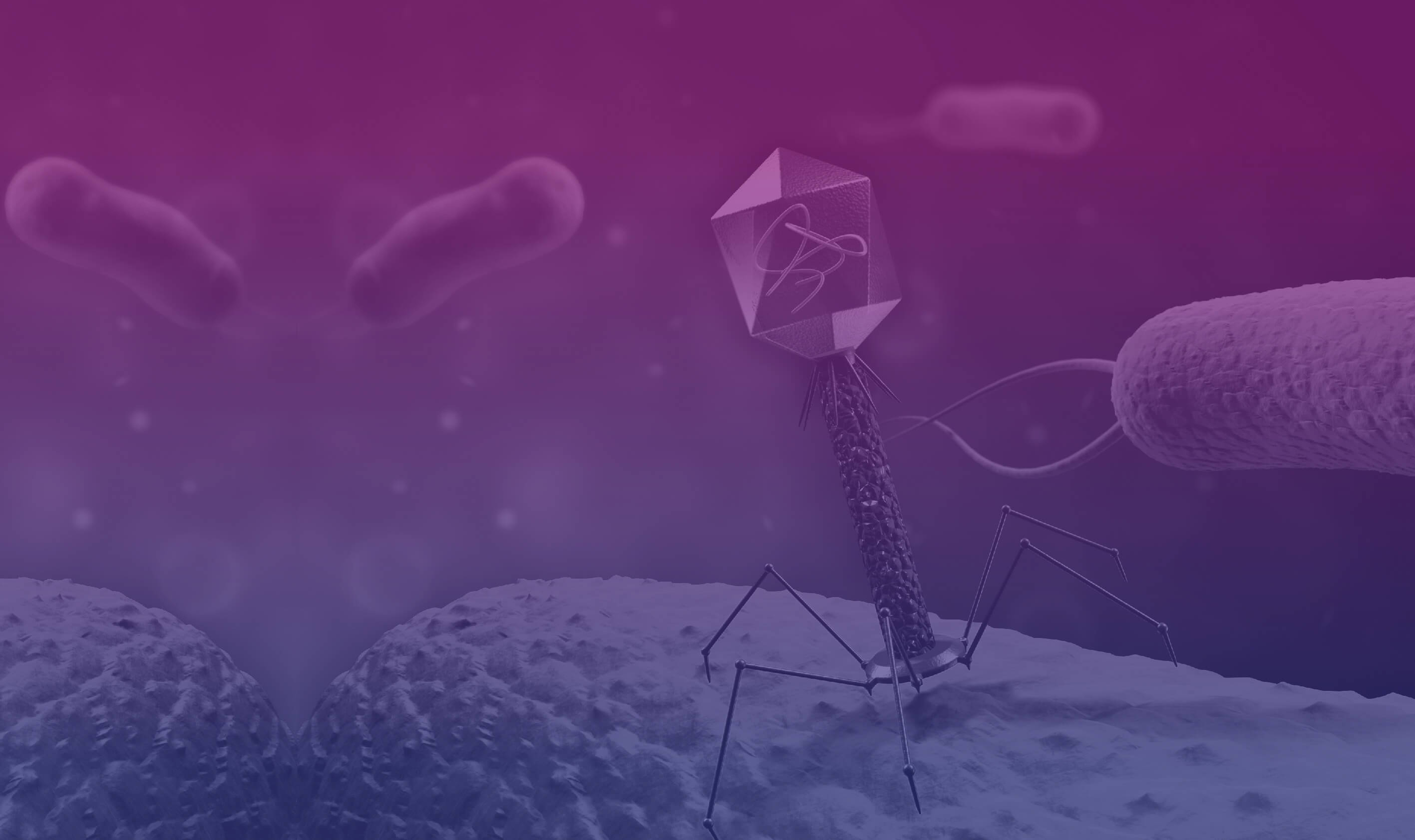 BiomX - Innovative microbiome therapeutics