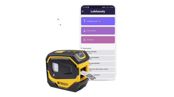 Brady and Labhandy