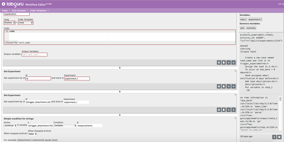 iggenix workflow